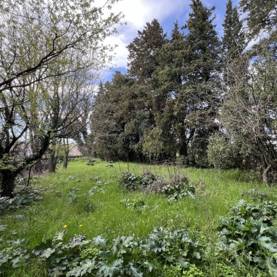 Annonces LOCATION GARD : Terrain | CONNAUX (30330) | m2 | 95 000 € 